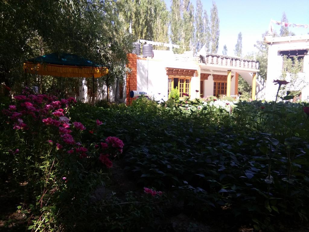 Galaxy Guest House Hundar Екстер'єр фото